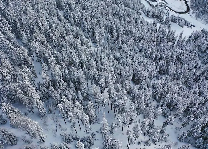 Alpehytte 1850 Neuf Luxe 6 Pers. - Fr-1-575-233 Courchevel