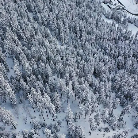 Chalet Neuf à 1850, Prêt Pour 6 Avec Aux Pieds Et Wifi! - Fr-1-575-233 Courchevel